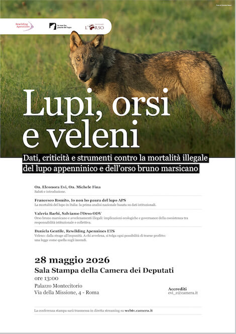 Lupi, orsi e veleni
