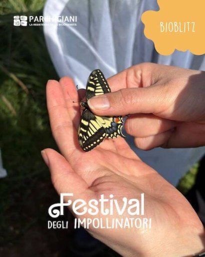 Festival degli Impollinatori