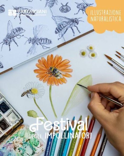Festival degli Impollinatori