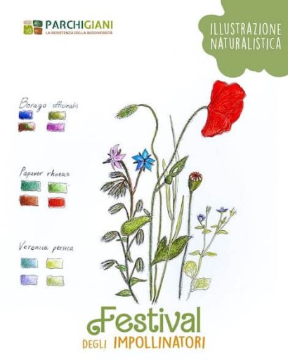 Festival degli Impollinatori