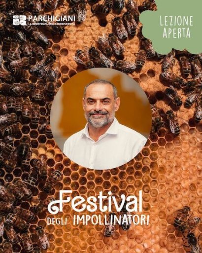 Festival degli Impollinatori