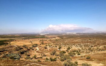 Il controllo ecologico del Medio Oriente
