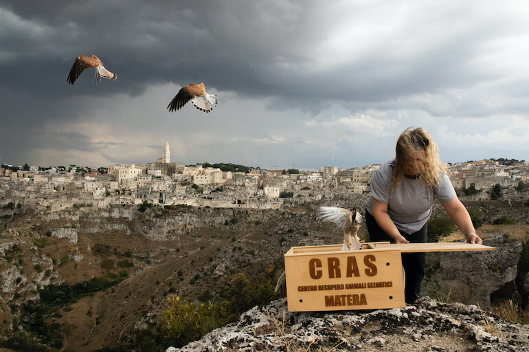 La Rivista della Natura