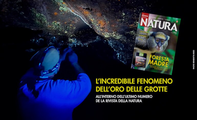 È uscito il numero di giugno de La Rivista della Natura