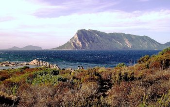 Sardegna sotto attacco