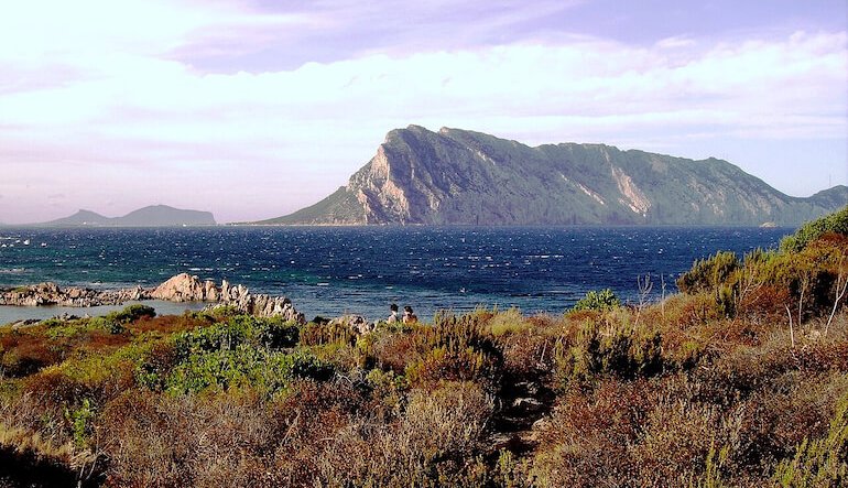 Sardegna sotto attacco