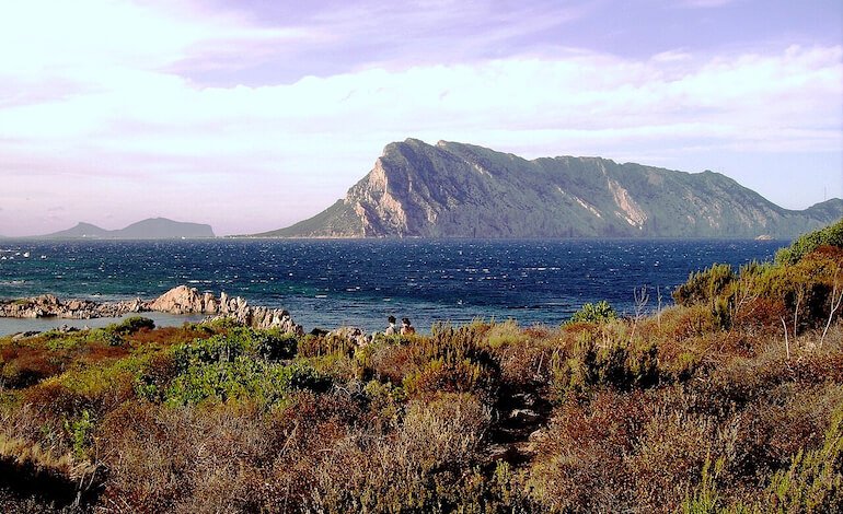 Sardegna sotto attacco