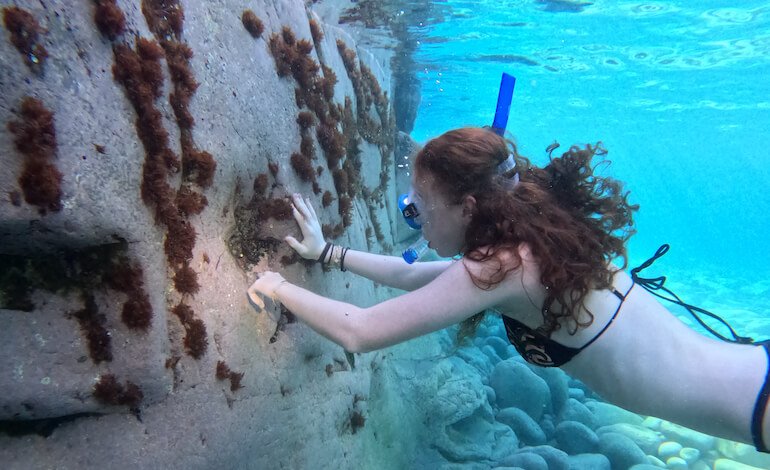 Un modello di conservazione marina