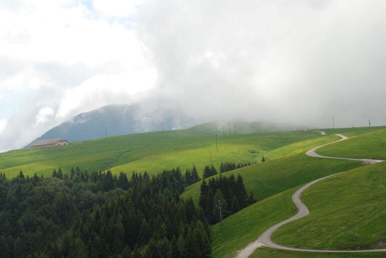 trodo dei fiori