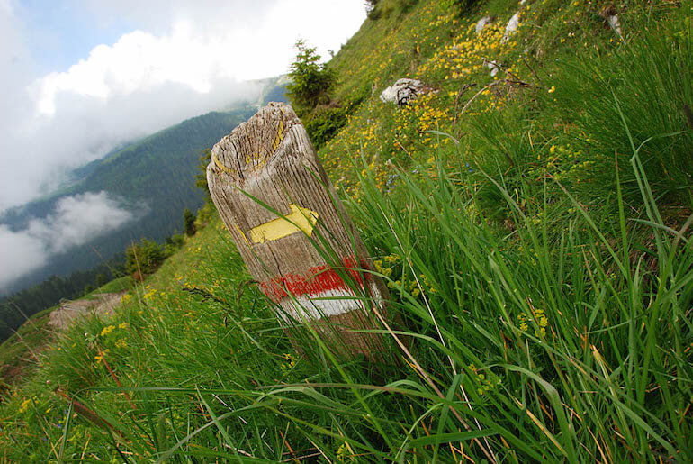 trodo dei fiori