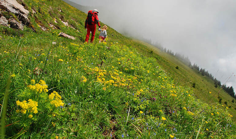 trodo dei fiori