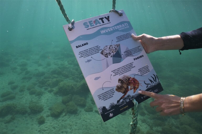 progetto SEATY