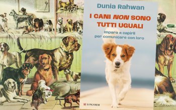 I cani non sono tutti uguali