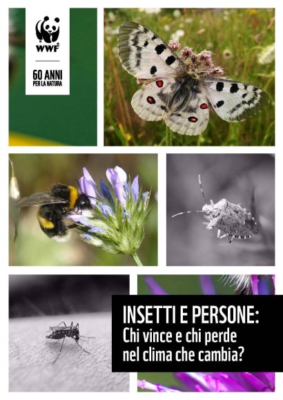 insetti e crisi climatica