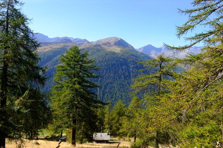 Plan Praz