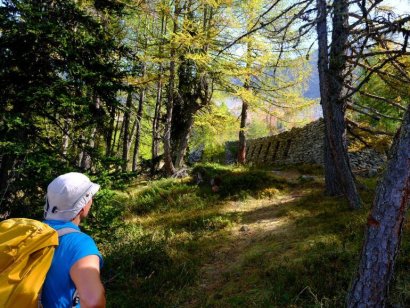 Plan Praz