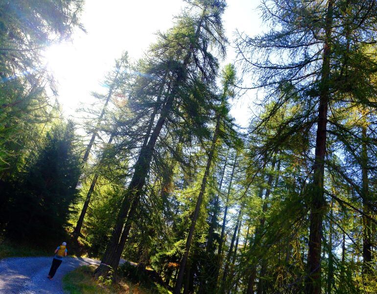Plan Praz
