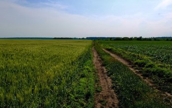 La terra nera e l'oro invisibile del Donbas