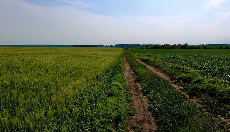 La terra nera e l'oro invisibile del Donbas