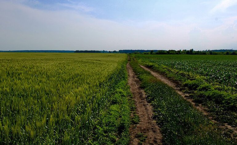 La terra nera e l’oro invisibile del Donbas
