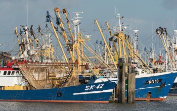 Nuovi livelli record per la pesca mondiale