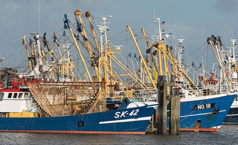 Nuovi livelli record per la pesca mondiale