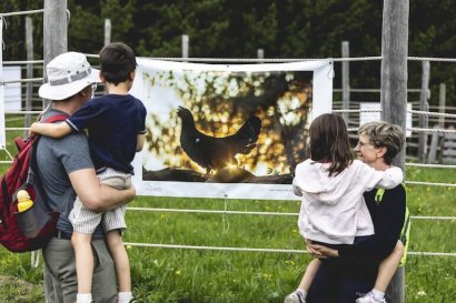 mostra fotografica di Bruno d’Amicis