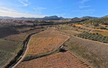 La biodiversità sta cambiando troppo rapidamente per poterla misurare
