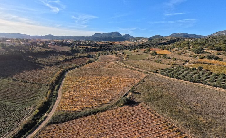 La biodiversità sta cambiando troppo rapidamente per poterla misurare