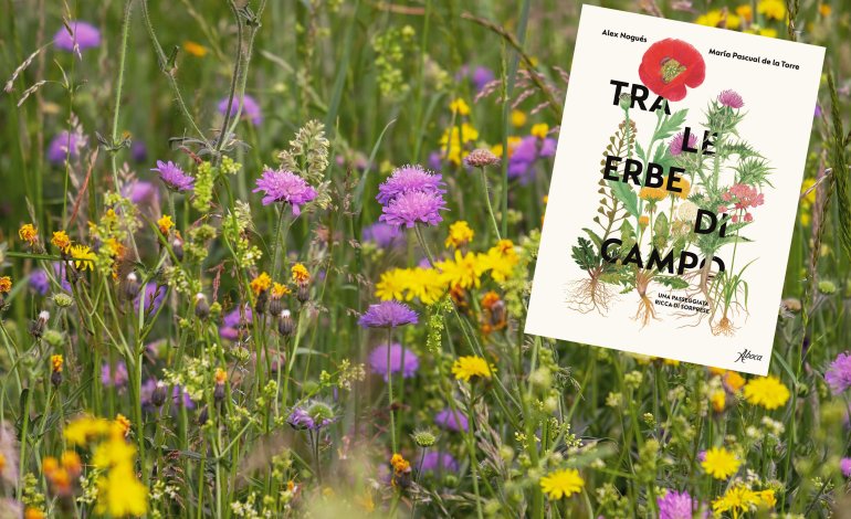 Tra le erbe di campo tante sorprese