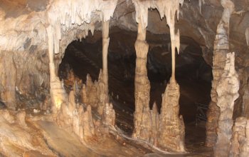 La grotta della Bàsura: un archivio naturale di straordinario valore
