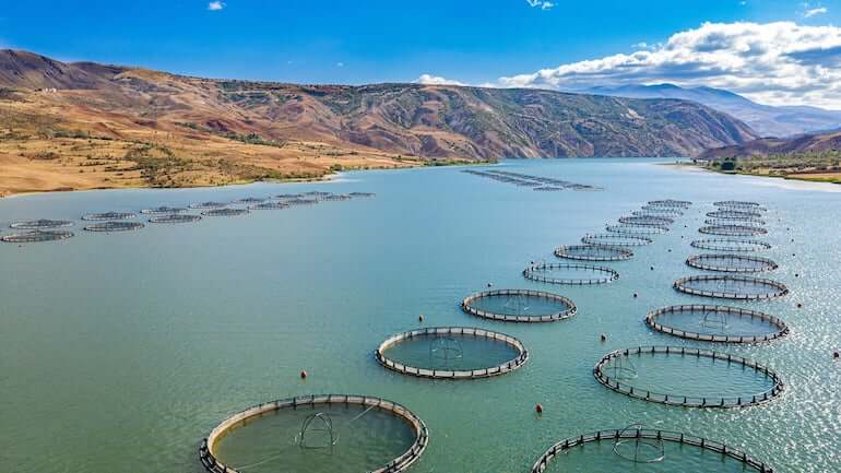 pesca mondiale