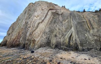 I fossili di pesci ossei del Limfjord occidentale, un viaggio nel mondo di 56 milioni di anni fa