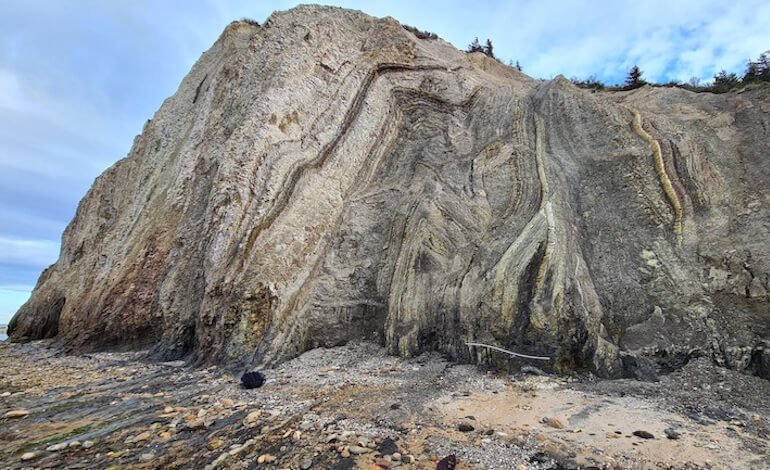 I fossili di pesci ossei del Limfjord occidentale, un viaggio nel mondo di 56 milioni di anni fa