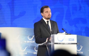 Un modello filantropico a lungo termine per l'inversione del declino della biodiversità