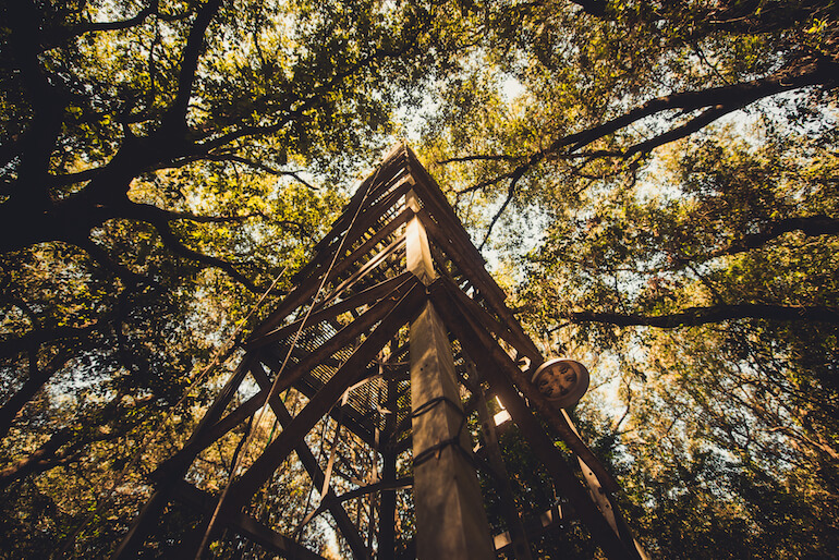 La torre ICOS di Castelporziano.
