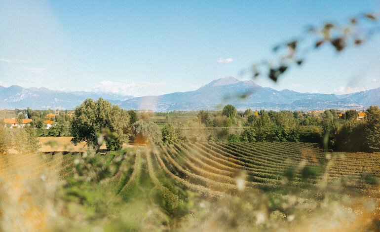 Visione e sostenibilità del Consorzio Tutela Lugana DOC