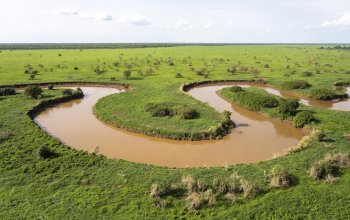 Boma-Badingilo, nel Sud Sudan, dove si svolge la più grande migrazione di mammiferi terrestri del pianeta