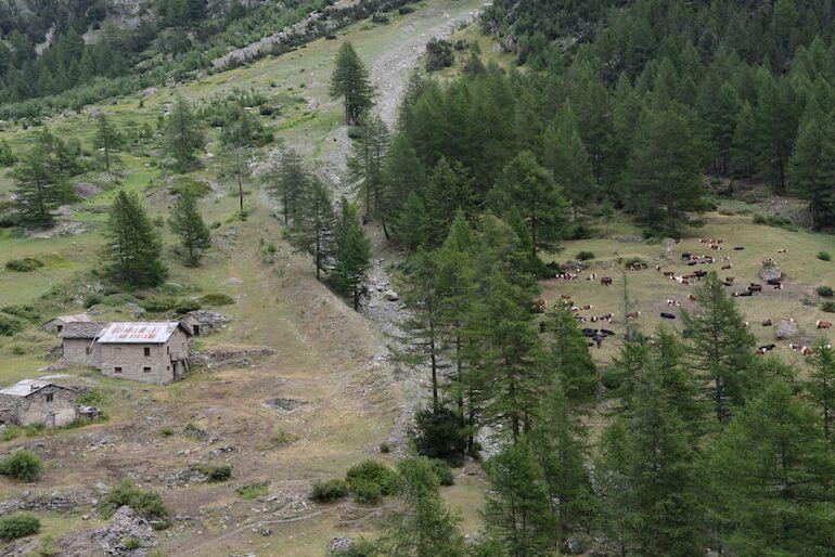 Vallone del Grauson