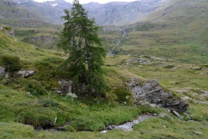 Vallone del Grauson