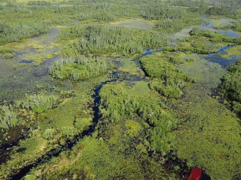 Territory Prairie