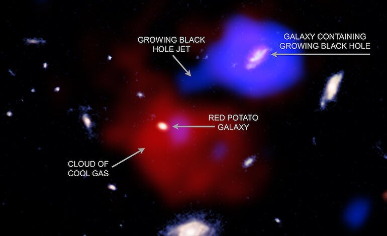 Un buco nero può frenare la nascita di stelle in una galassia vicina
