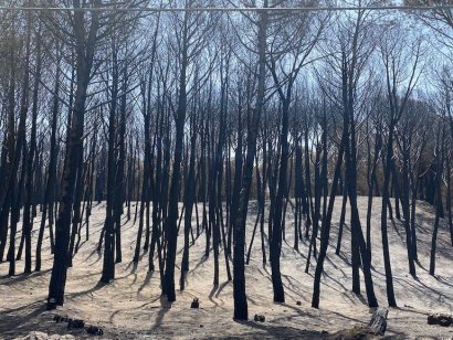prevenzione incendi