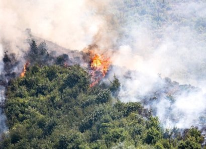 prevenzione incendi