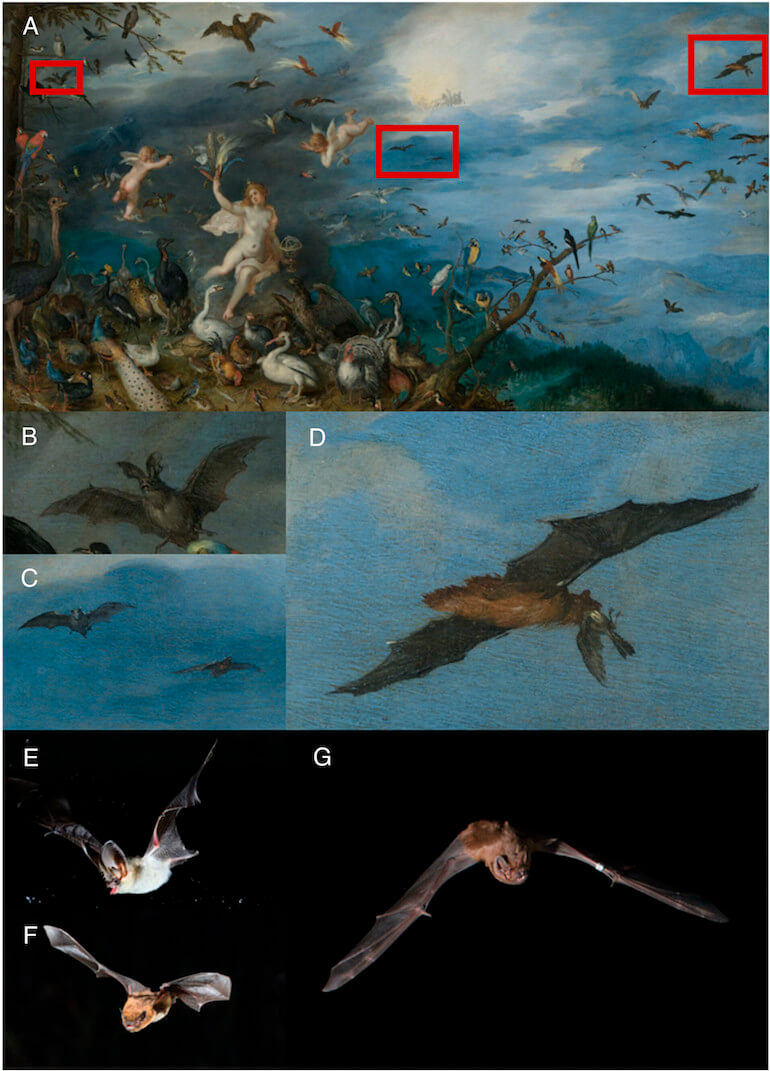 pipistrello di Brueghel