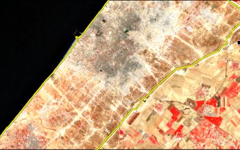 A Gaza il conflitto cancella anche la vegetazione: in due anni perse due aree verdi su tre