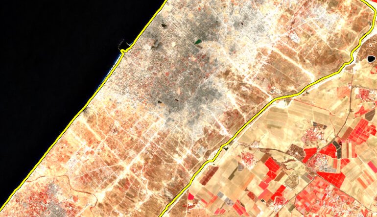 A Gaza il conflitto cancella anche la vegetazione: in due anni perse due aree verdi su tre
