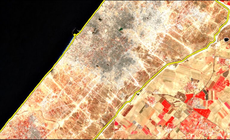 A Gaza il conflitto cancella anche la vegetazione: in due anni perse due aree verdi su tre