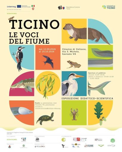 Ticino. Le voci del Fiume 