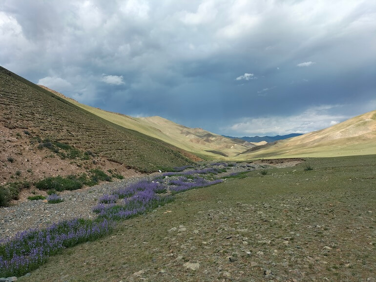 Mongolia